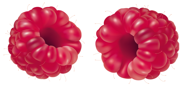 This png image - Raspberries PNG Clipart Picture, is available for free download