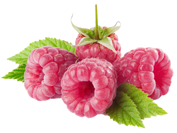 This png image - Raspberries PNG Picture, is available for free download