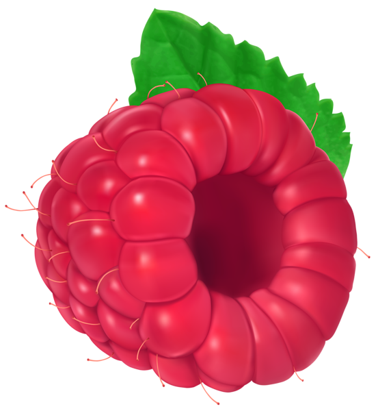 This png image - Raspberry. PNG Clip Art Image, is available for free download