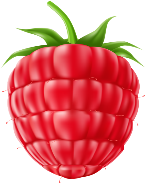 This png image - Raspberry Fruit PNG Clipart, is available for free download