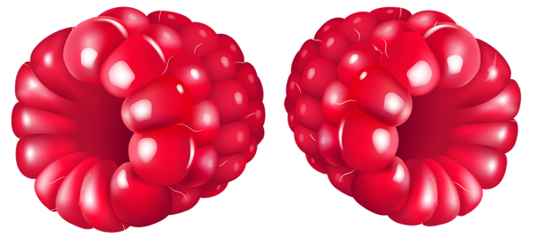 This png image - Raspberry Fruit PNG Clipart, is available for free download