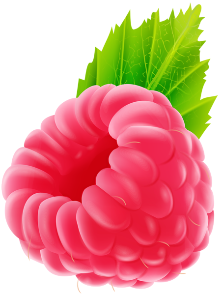 This png image - Raspberry PNG Clip Art Image, is available for free download