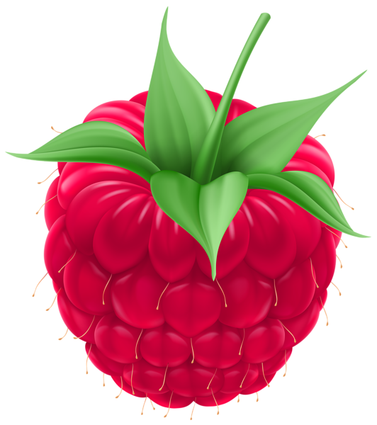 This png image - Raspberry PNG Clip Art Image, is available for free download