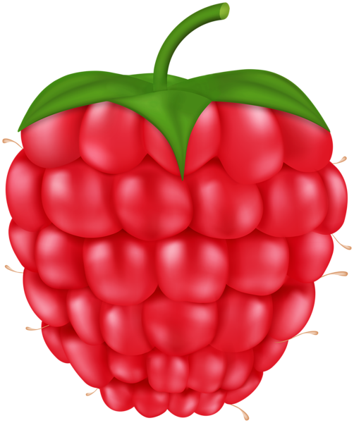 Raspberry PNG Clipart | Gallery Yopriceville - High-Quality Free Images ...