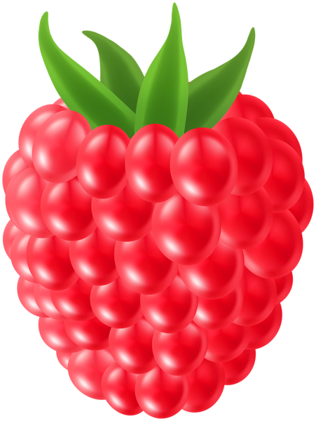 This png image - Raspberry PNG Clipart, is available for free download