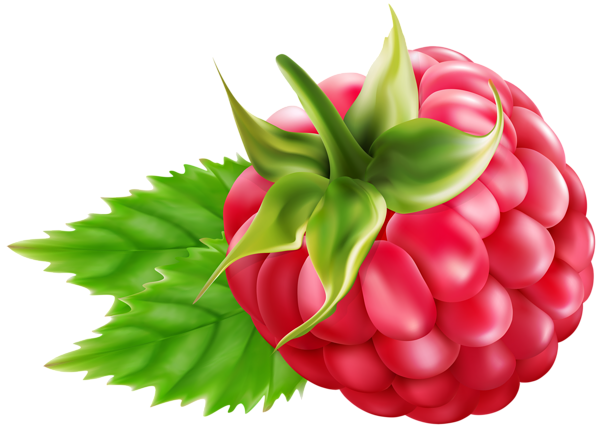 This png image - Raspberry Transparent PNG Clip Art, is available for free download