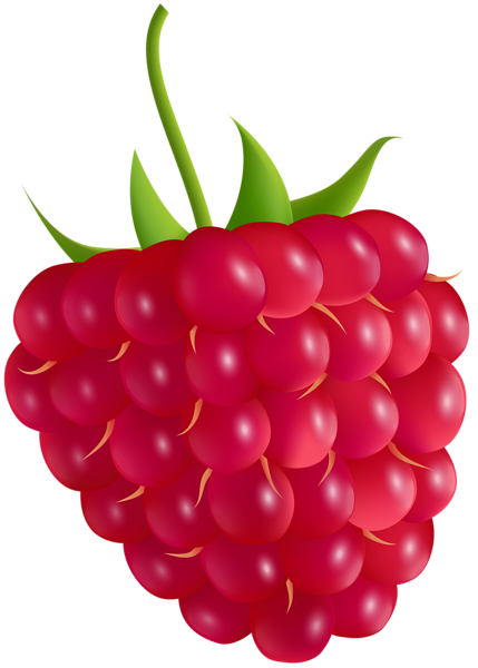 This png image - Raspberry Transparent PNG Clip Art Image, is available for free download