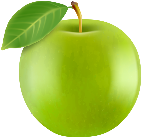 This png image - Realistic Green Apple PNG Clipart, is available for free download
