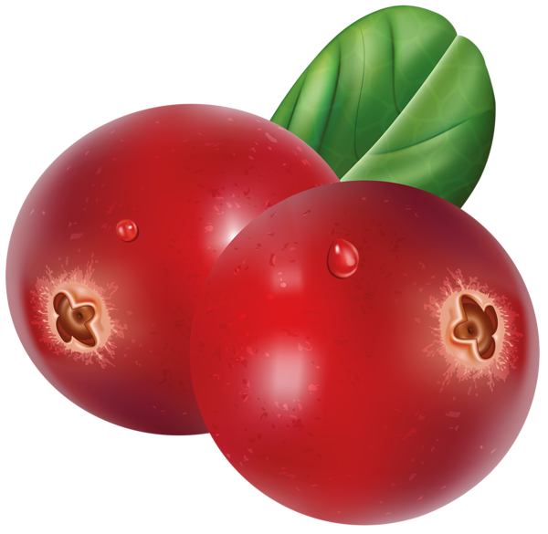 This png image - Red Cranberries Transparent PNG Clip Art Image, is available for free download