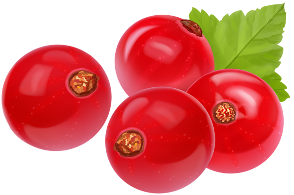 This png image - Red Currant Transparent Clip Art Image, is available for free download