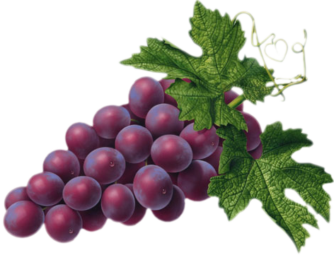 This png image - Red Grape PNG Picture, is available for free download