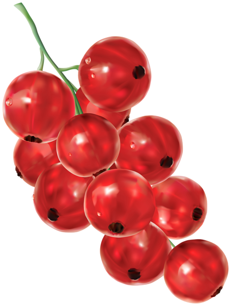 This png image - Redcurrant PNG Clipart, is available for free download