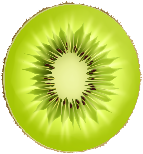 This png image - Round Kiwi Slice PNG Clipart, is available for free download