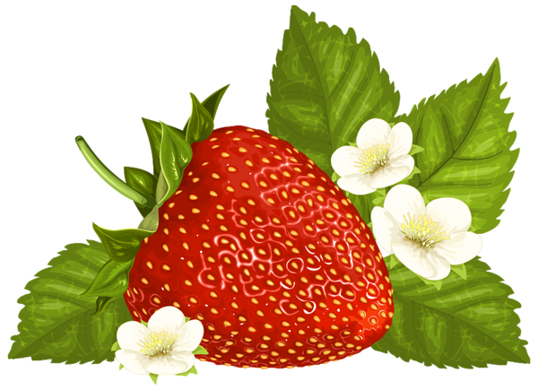 This png image - Strawberry PNG Clipart Image, is available for free download