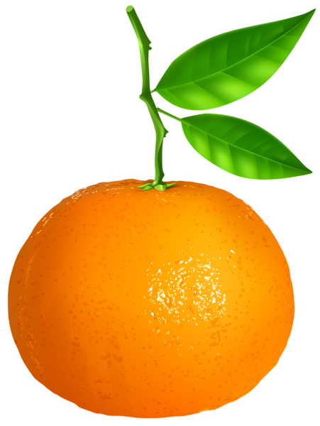 This png image - Tangerine Transparent PNG Clip Art Image, is available for free download