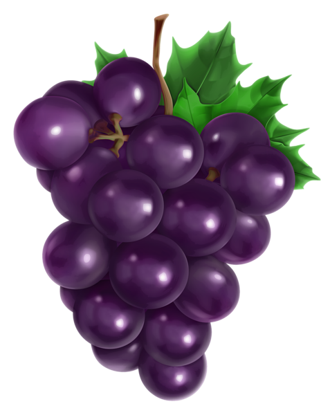 This png image - Transparent Grape PNG Clipart Picture, is available for free download