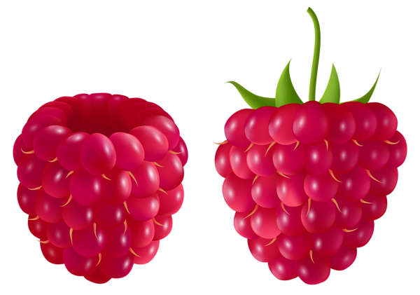 This png image - Transparent Raspberry PNG Clipart Picture, is available for free download