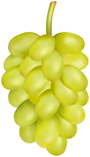 This png image - White Grape PNG Clip Art, is available for free download