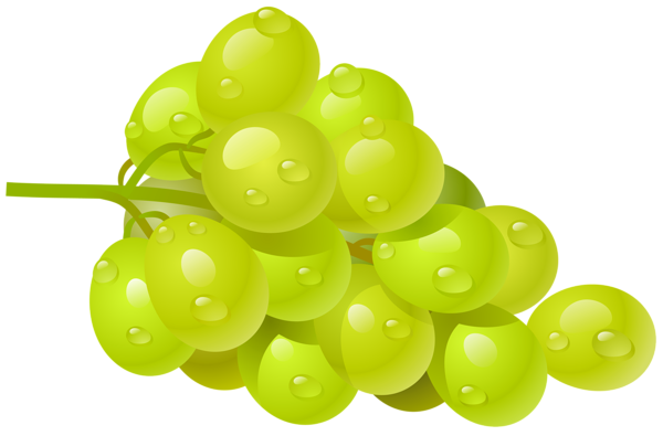 This png image - White Grape PNG Clipart Picture, is available for free download