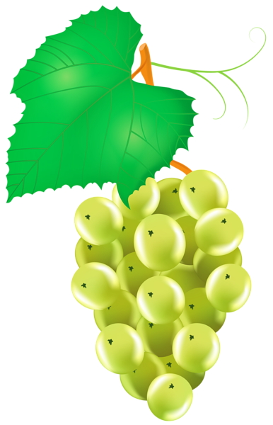 This png image - White Grape PNG Transparent Clipart, is available for free download