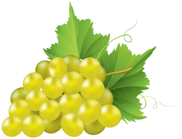 This png image - White Grape Transparent PNG Clip Art Image, is available for free download