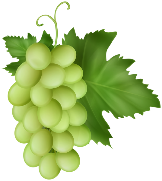 This png image - White Grapes Transparent Image, is available for free download