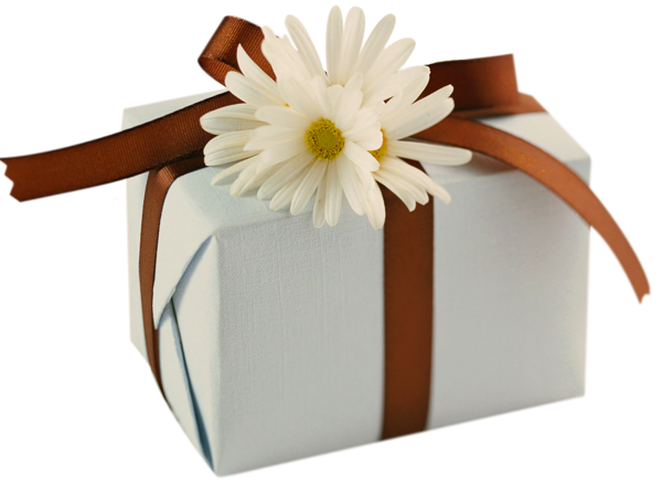 This png image - White Present with Brown Bow and Daisies Clipart, is available for free download