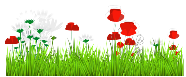 This png image - Art Grass Decor PNG Clipart, is available for free download