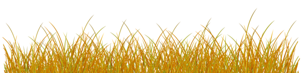 This png image - Autumn Grass PNG Clip Art Image, is available for free download