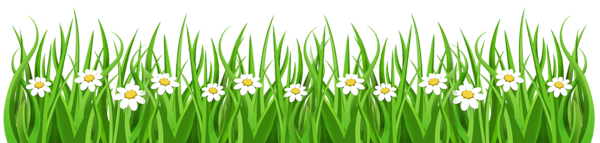 This png image - Daisies and Grass PNG Clipart, is available for free download