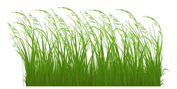 This png image - Decorative Grass Clipart Picture, is available for free download