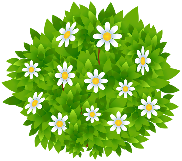 This png image - Flowers Bush Transparent PNG Clip Art Image, is available for free download