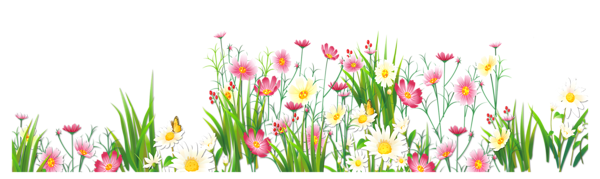 This png image - Flowers and Grass PNG Picture Clipart, is available for free download