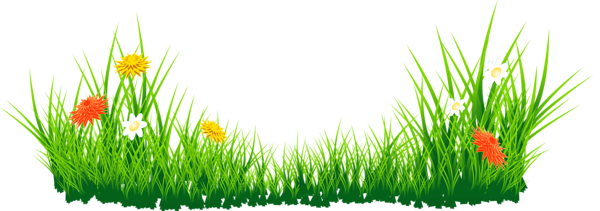 This png image - Flowers with Grass PNG Picture, is available for free download