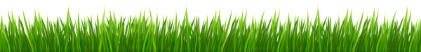 This png image - Fresh Grass Clip Art Image, is available for free download
