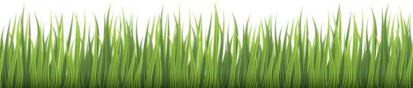 This png image - Fresh Grass Clipart Image, is available for free download