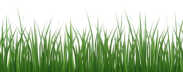 This png image - Fresh Grass PNG Transparent Clipart, is available for free download