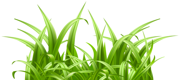 This png image - Fresh Grass Transparent Image, is available for free download