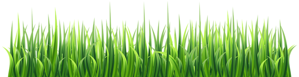 This png image - Fresh Green Grass Transparent Image, is available for free download