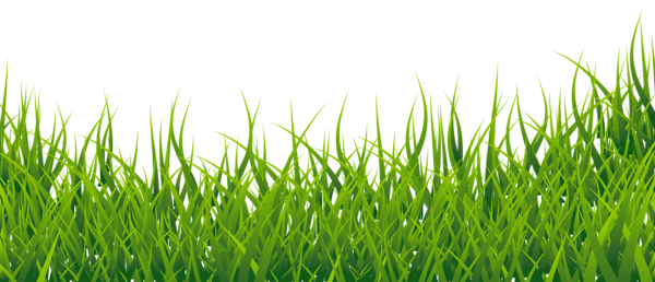 Grass Clipart Picture | Gallery Yopriceville - High-Quality Images and ...