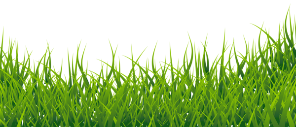 This png image - Grass Clipart Picture, is available for free download