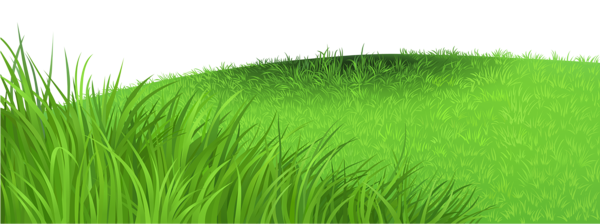 This png image - Grass Deco PNG Clipart Picture, is available for free download