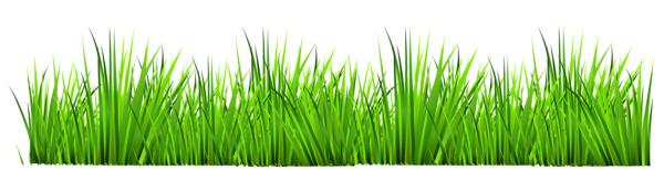 This png image - Grass Decor PNG Clipart, is available for free download