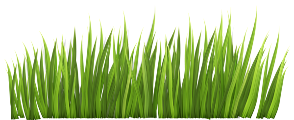 This png image - Grass Decor PNG Clipart Picture, is available for free download