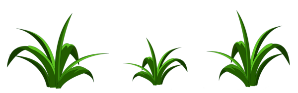 This png image - Grass Decor Transparent PNG Clipart, is available for free download