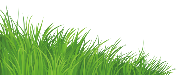 This png image - Grass Element PNG Clipart Picture, is available for free download
