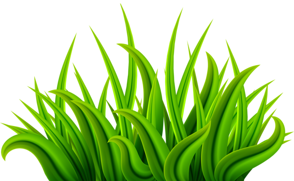 This png image - Grass Green PNG Clip Art Image, is available for free download