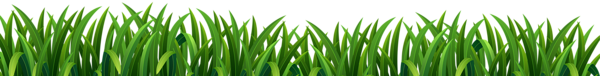 This png image - Grass Green PNG Clipart, is available for free download