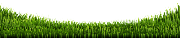 This png image - Grass Green Transparent Image, is available for free download