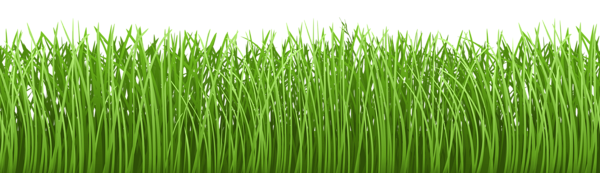 This png image - Grass Ground Cover Transparent PNG Clip Art Image, is available for free download